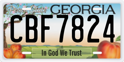 GA license plate CBF7824