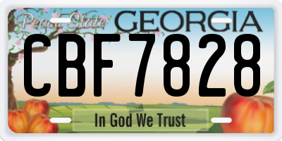 GA license plate CBF7828