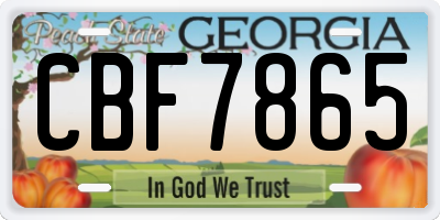 GA license plate CBF7865