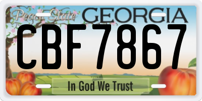 GA license plate CBF7867