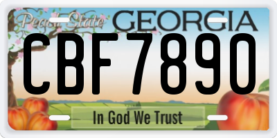 GA license plate CBF7890