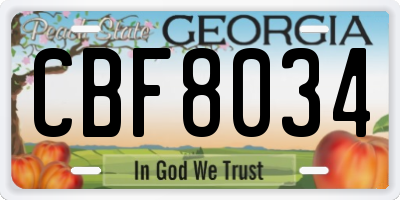 GA license plate CBF8034