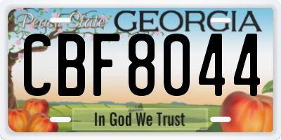 GA license plate CBF8044