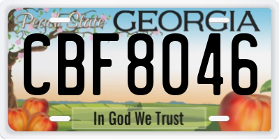GA license plate CBF8046