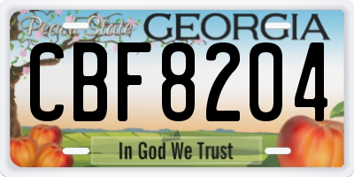 GA license plate CBF8204