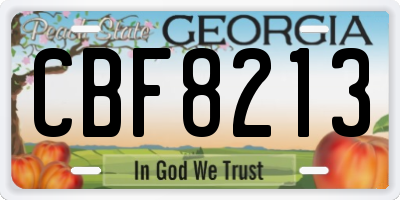 GA license plate CBF8213