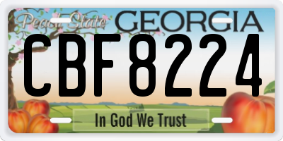 GA license plate CBF8224