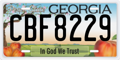GA license plate CBF8229