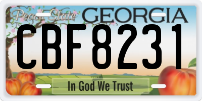 GA license plate CBF8231