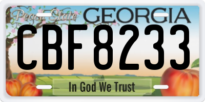 GA license plate CBF8233