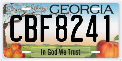 GA license plate CBF8241
