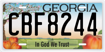 GA license plate CBF8244