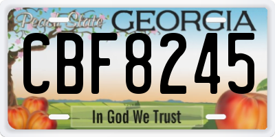GA license plate CBF8245