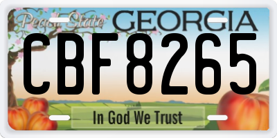 GA license plate CBF8265