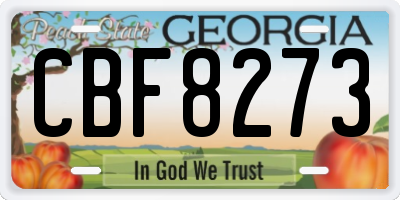 GA license plate CBF8273