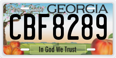GA license plate CBF8289
