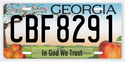 GA license plate CBF8291