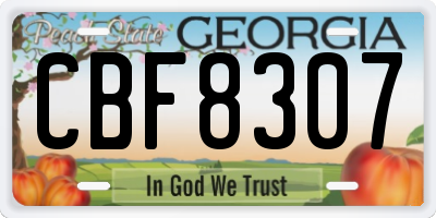 GA license plate CBF8307