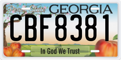 GA license plate CBF8381