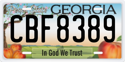 GA license plate CBF8389