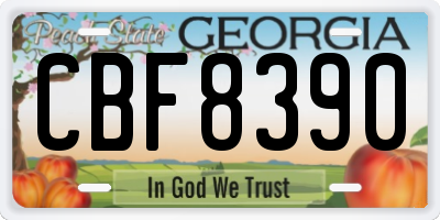 GA license plate CBF8390