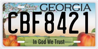 GA license plate CBF8421