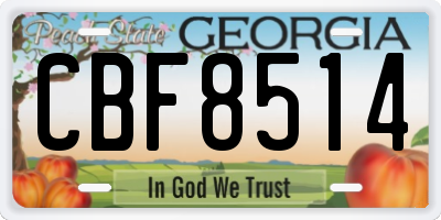 GA license plate CBF8514