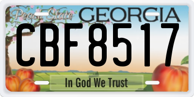 GA license plate CBF8517