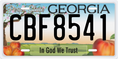 GA license plate CBF8541