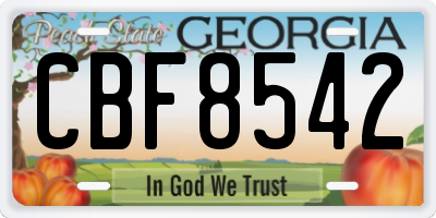 GA license plate CBF8542