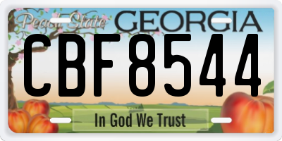 GA license plate CBF8544