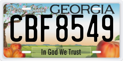GA license plate CBF8549