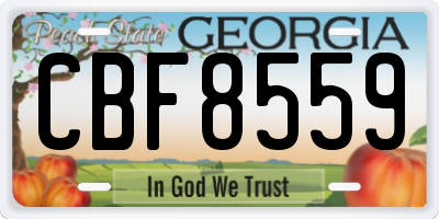 GA license plate CBF8559