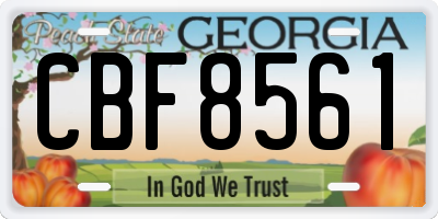 GA license plate CBF8561