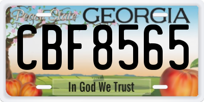 GA license plate CBF8565