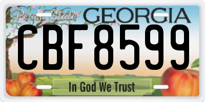 GA license plate CBF8599
