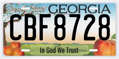 GA license plate CBF8728