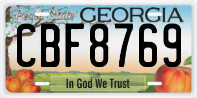 GA license plate CBF8769