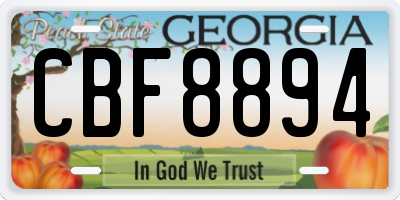 GA license plate CBF8894
