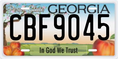 GA license plate CBF9045