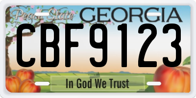 GA license plate CBF9123