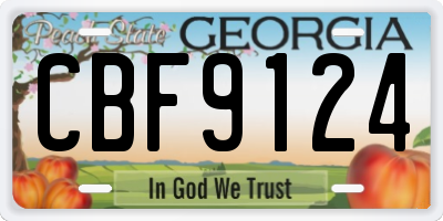 GA license plate CBF9124