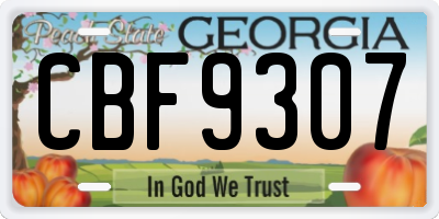 GA license plate CBF9307