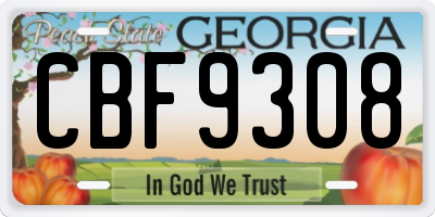GA license plate CBF9308