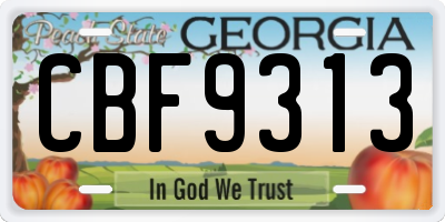 GA license plate CBF9313