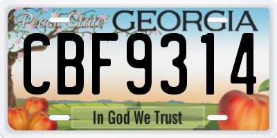GA license plate CBF9314