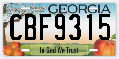 GA license plate CBF9315