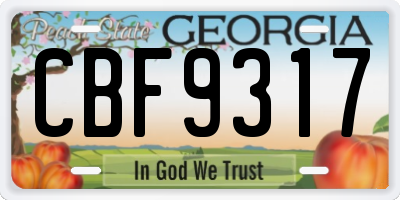 GA license plate CBF9317