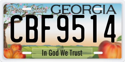 GA license plate CBF9514