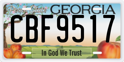 GA license plate CBF9517